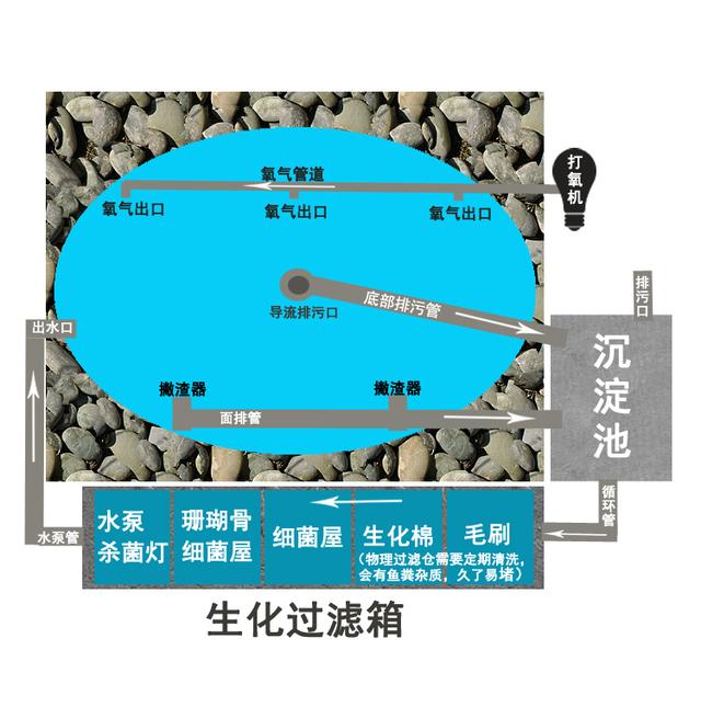 具体管道布局和过滤池看我下面的文章:景观鱼池管道如何设计铺排.