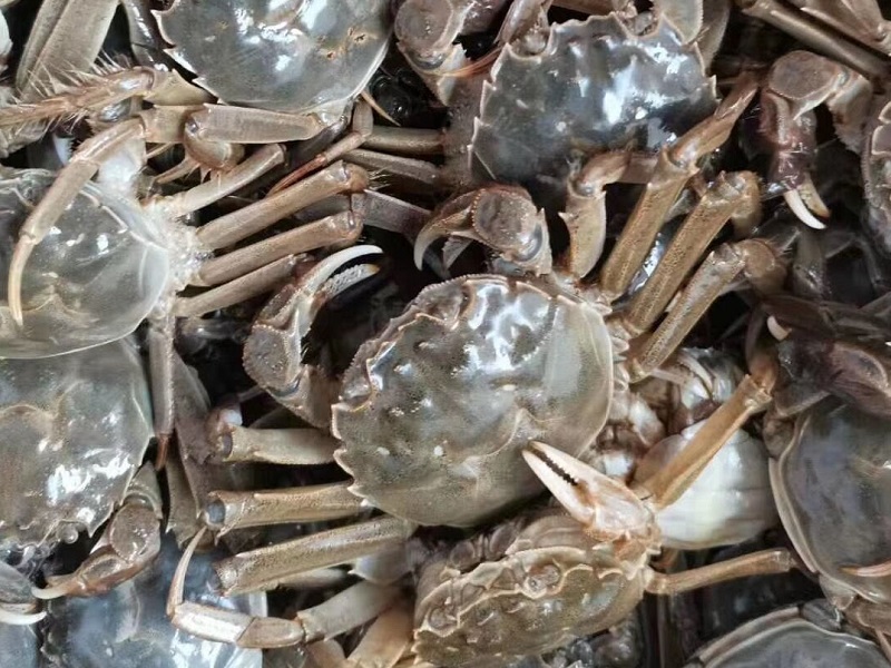 如果被蟹束阁大闸蟹夹到手怎么办